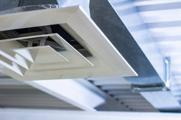 Air Duct Mold Removal in Stanberry, MO
