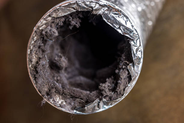Best General Air Duct Cleaning  in Stanberry, MO